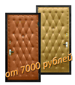 металлическая дверь 7000 рублей