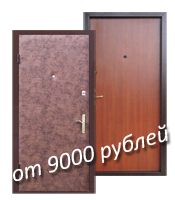 металлическая дверь за 9000 руб.