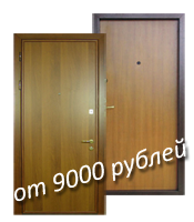 стальная дверь за 9000 руб.