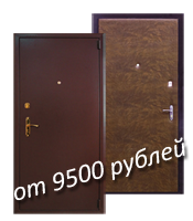 железная дверь за 9500 руб.