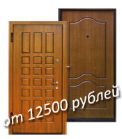 стальная дверь за 12500 руб.