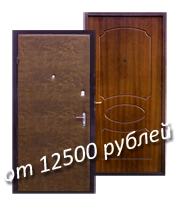 железная дверь за 12500 руб.