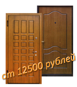 металлическая дверь 12500 рублей